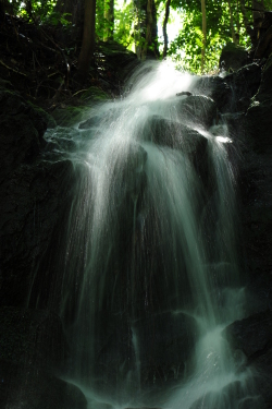 尼康 D700 样张