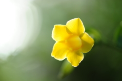 尼康 D700 样张