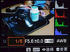 最高像素全画幅单反索尼α900详尽评测(5)