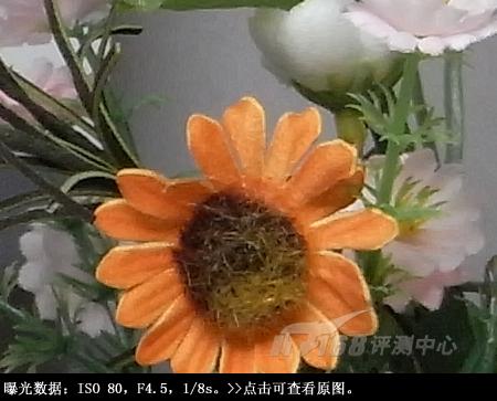 迷失的睿珀理光千万像素长焦R10评测(9)