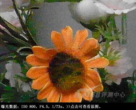 迷失的睿珀理光千万像素长焦R10评测(10)