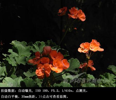 迷失的睿珀理光千万像素长焦R10评测(13)