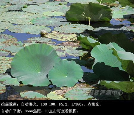 迷失的睿珀理光千万像素长焦R10评测(13)
