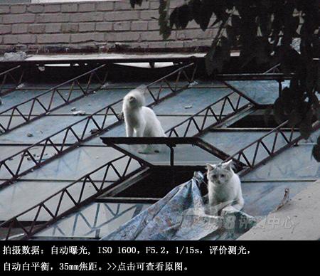 迷失的睿珀理光千万像素长焦R10评测(14)