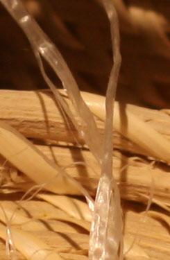 骨子里的强悍佳能升级版单反50D评测(12)