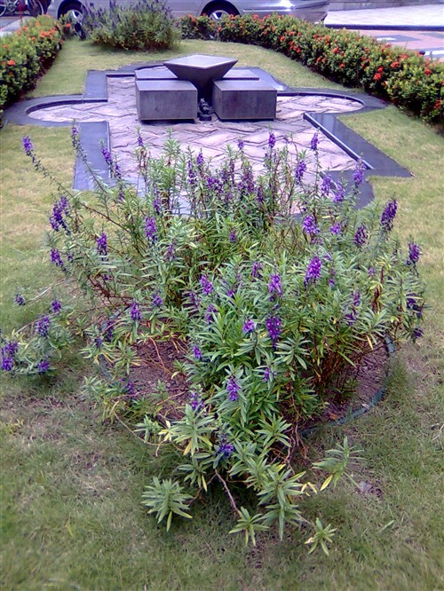 镜面黑珍珠 诺基亚6600F翻盖手机评测