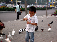 体验别样都市风情 尼康S600街景外拍评测 