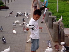 体验别样都市风情 尼康S600街景外拍评测 