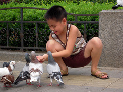 体验别样都市风情 尼康S600街景外拍评测 