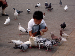 体验别样都市风情 尼康S600街景外拍评测 