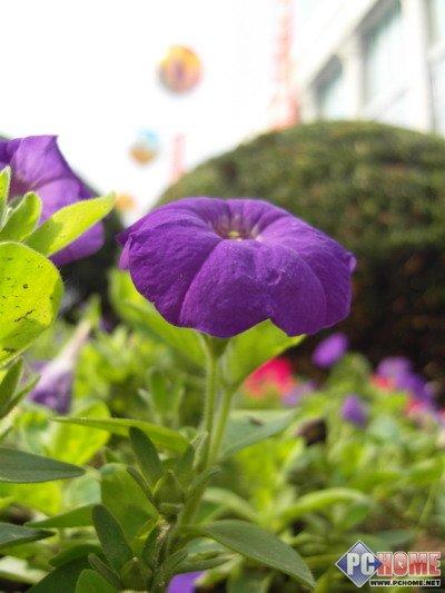 时尚专业小巧精美三星蓝调NV100HD评测(6)