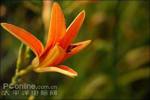 17日相机行情：入门单反机身降至3880元(2)