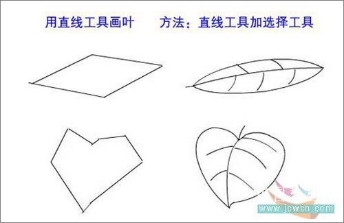 Flash鼠绘入门第二课：认识工具