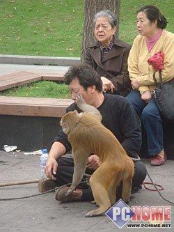 精致小巧时尚卡片DC索尼T500详细评测(8)