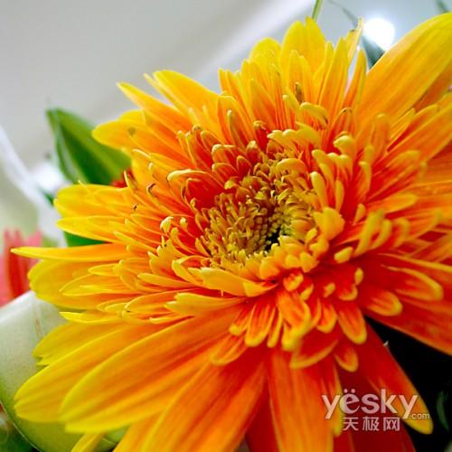 另眼看世界理光GRDII眼中的秋色冬季(5)