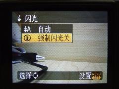 25mm广角5倍光变徕卡镜头松下FX38评测(3)
