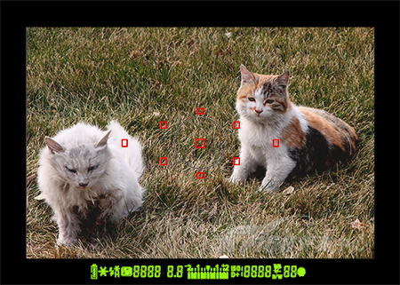 佳能EOS 5D Mark II的取景器显示信息（示意图）