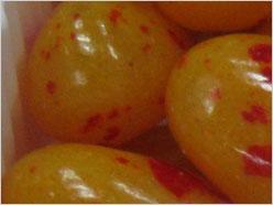 亮装示人倍增亲切手动佳能A2000IS评测(10)