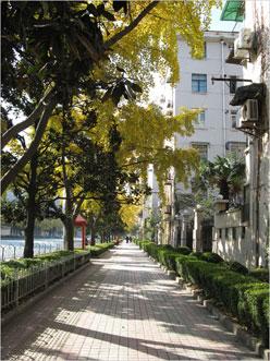 亮装示人倍增亲切手动佳能A2000IS评测(11)