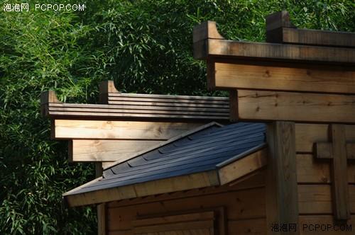 中档单反谁更强?佳能50D实战宾得K20D