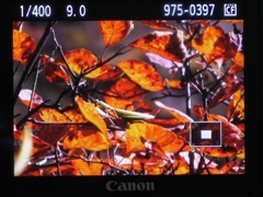 外续传承-内蕴革新 佳能50D详测报告