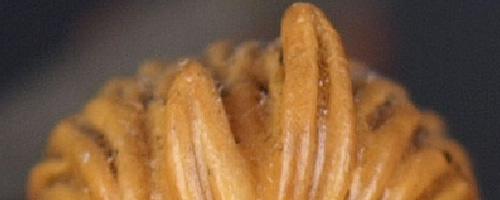 是高端还是中端奥林巴斯E-30深入解析(11)