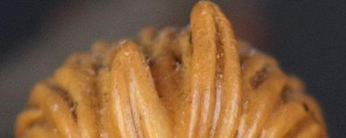 是高端还是中端奥林巴斯E-30深入解析(11)