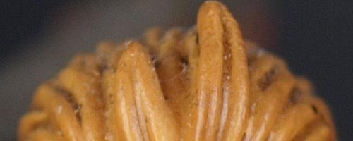 是高端还是中端奥林巴斯E-30深入解析(11)