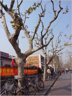 专业就是不一样24mm广角理光GX200评测(6)