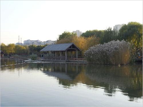 专业就是不一样24mm广角理光GX200评测(8)