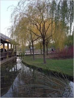 专业就是不一样24mm广角理光GX200评测(8)