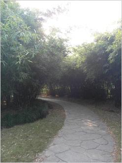 谁能百分百完美富士F100对决三星NV100(9)