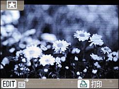 新颖别致好创意佳能ES3照片打印机评测(7)