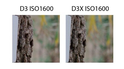 尼康D3D3X感光度成像对比 