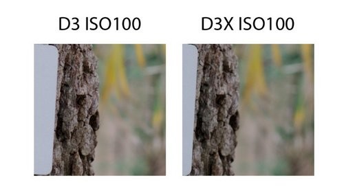 尼康D3D3X感光度成像对比 