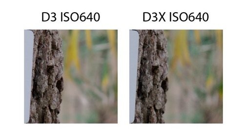 尼康D3D3X感光度成像对比 