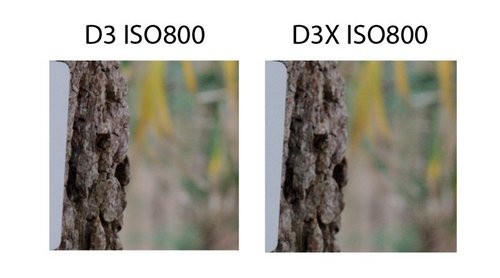尼康D3D3X感光度成像对比 