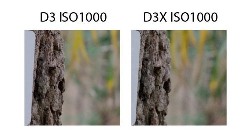尼康D3D3X感光度成像对比 