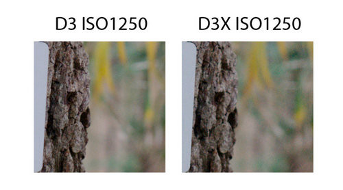 尼康D3D3X感光度成像对比 