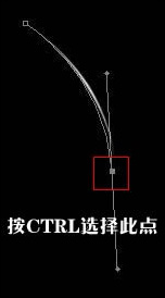 Photoshop教程:路径与高光教程之蜂鸟 Photoshop教程:路径与高光教程之蜂鸟
