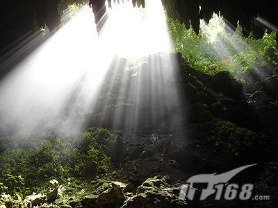 绿色IT越来越受关注