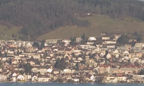 尼康标头PKAF-S50/1.4G对比AF50/1.4D(4)