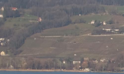 尼康标头PKAF-S50/1.4G对比AF50/1.4D(4)