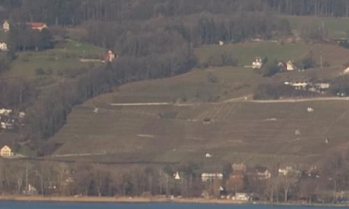 尼康标头PKAF-S50/1.4G对比AF50/1.4D(4)