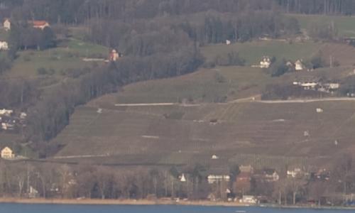 尼康标头PKAF-S50/1.4G对比AF50/1.4D(6)