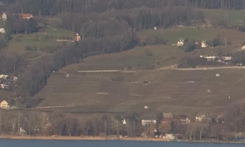 尼康标头PKAF-S50/1.4G对比AF50/1.4D(6)