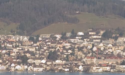 尼康标头PKAF-S50/1.4G对比AF50/1.4D(6)