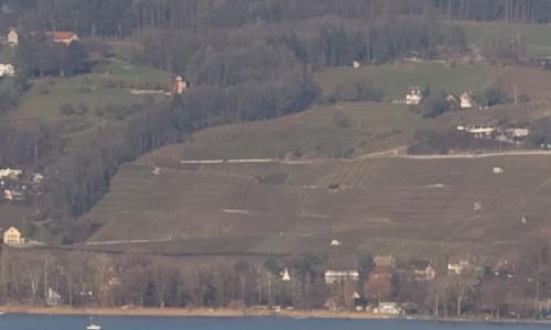 尼康标头PKAF-S50/1.4G对比AF50/1.4D(7)