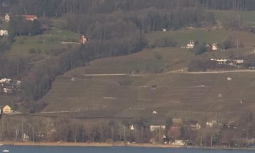 尼康标头PKAF-S50/1.4G对比AF50/1.4D(7)