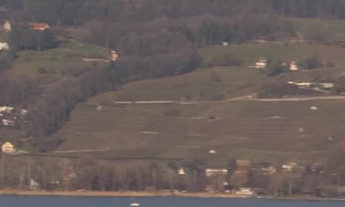 尼康标头PKAF-S50/1.4G对比AF50/1.4D(8)